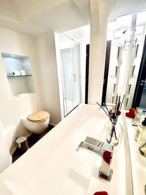 *Victoria Plaza* Loft Au Coeur De Vichy Apartamento Exterior foto